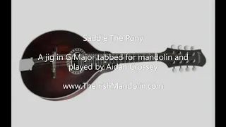 Saddle The Pony - a jig in G Major tabbed for mandolin and played by Aidan Crossey