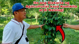 Agriculturist Secrets para Kumita at di Malugi sa iba't ibang Farming