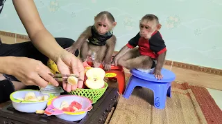 Mimi Kuku waits for her mom to make yummy yogurt mixed fruits