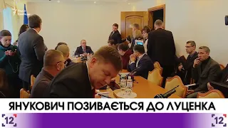 Янукович позивається до Луценка