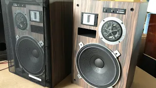 Pioneer s-955 (про купольные СЧ)