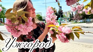 Весняна подорож у світ краси #ужгород