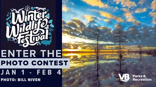 Winter Wildlife Festival Photo Contest