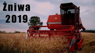 ☆Żniwa 2019☆ Owies pod kosę☆ Massey-Ferguson&Zetor...