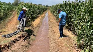 Como poner un riego en la parcela hechale pipas al tercio