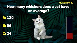 How Well Do You Know Animal Facts? Take This Quiz To Find Out!