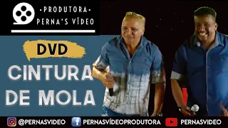 DVD - Forró Cintura de Mola e Clésio dos Teclados - "Olha o Tirinho"