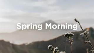 Spring Morning Playlist 🌷 Chill Vibes for Your Coffee Time ☕