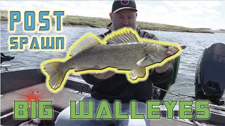 Big Walleyes - South Dakota Glacial Lake - Wild Dakota