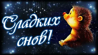 Самых сладких снов тебе сегодня! Доброй ночи!