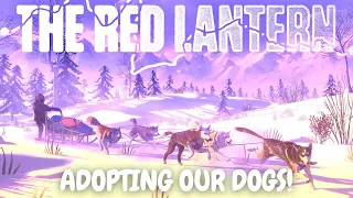 The Red Lantern - ADOPTING OUR SLED DOGS! │Part 1