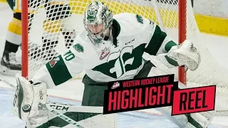 2017-18 HIGHLIGHT REEL | Carter Hart