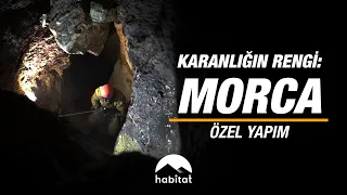 ÖZEL YAPIM | KARANLIĞIN RENGİ MORCA