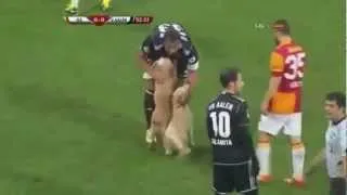 Dogs Interupt Soccer Match