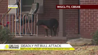 Why I hate pit bulls