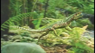 Эупаркерия ( Прогулки с монстрами: жизнь до динозавров )