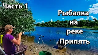 Рыбалка в Беларуси. Рыбалка на реке Припять. Река Припять в районе Микашевич!!!