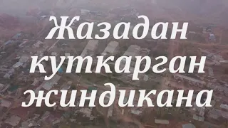 ЖАЗАДАН КУТКАРГАН ЖИНДИКАНА / ЖУРНАЛИСТТИК ИЛИКТӨӨ / Т-МЕДИА ИЛИКТӨӨЛӨРҮ УЛАНАТ