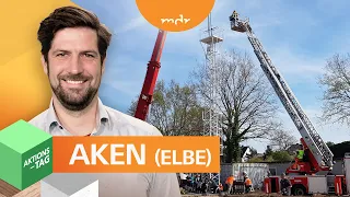 Aken schafft alle Projekte | MDR um 4 | MDR Frühlingserwachen | MDR