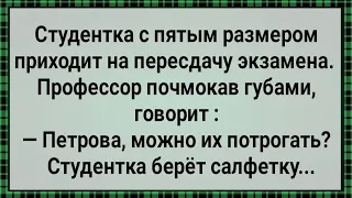 Как Студентка с Пятым Размером На Пересдачу Пришла! Сборник Свежих Анекдотов! Юмор!