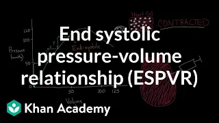 End systolic pressure-volume relationship (ESPVR) | NCLEX-RN | Khan Academy