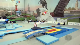 ODINTSOV Aleksandr (RUS) - 2018 Trampoline Worlds, St. Petersburg (RUS) - Qualif Double Mini R2