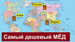 Самый дешевый мёд в мире по оптовым ценам. Топ-5 стран.