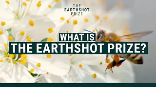 What is The Earthshot Prize?