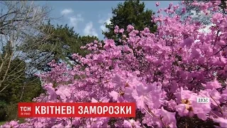 В Україну повернулась весна