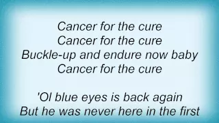 Eels - Cancer For The Cure Lyrics