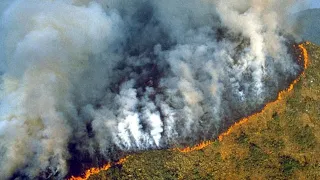 Amazon rainforest is burning and no one is talking about it so I will and suggest you to do the same