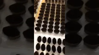 A factory from China which produces makeup brushes