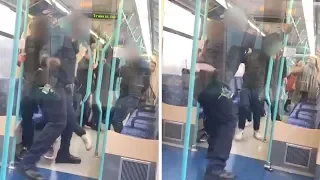 Ticket Inspector Fights Passenger On Train