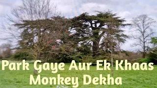 Park Gaye Aur Ek Khaas Monkey Dekha