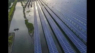 Breeding crayfish under solar panels in east China's Jiangsu