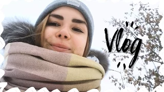 #VLOG, Адские холода,Повседневный макияж || Alyona Burdina