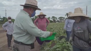 Luis Magana gives tools to those in need to survive the farm fields