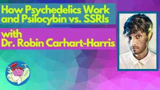 How Psychedelics Work & Psilocybin vs. SSRIs w/ Dr. Robin Carhart-Harris