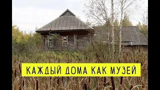 Заброшенная деревня в Ярославской области. Старинные дома и артефакты. Медвежьи следы в лесу