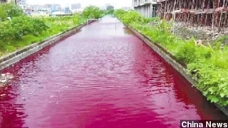 Chinese River Mysteriously Turns Blood Red