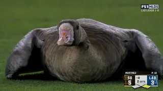 Goose takes over an MLB playoff game