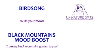 Birdsong to lift your mood