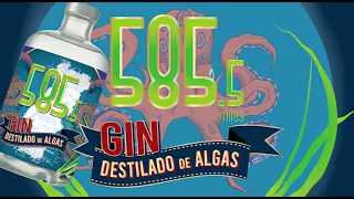 GIN 585.5 miles Restyling - PEDRO FERREIRA