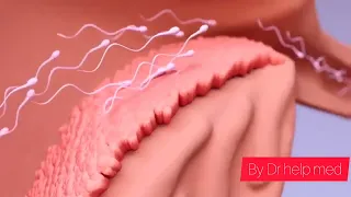 स्पर्म कैसे काम करता है || how sperm works in female 😱