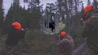 ONCE in a LIFETIME BULL MOOSE! Maine Moose Hunting