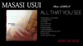 Masashi Usui 碓井雅史 - All That You See