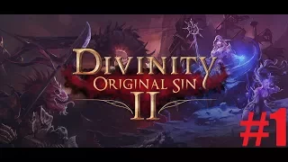 Divinity: Original Sin 2 - coop в 4! Приключения начинаются! -Стрим дос2- #1