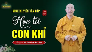 Bài học từ con khỉ | Kinh mi tiên vấn đáp câu 187 | Thầy Thích Trúc Thái Minh