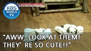 Raeyeon "OMG, They're so cute!!" [Battle Trip/2018.09.09]
