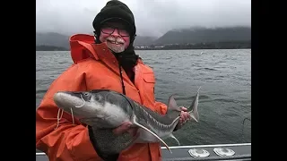 Sturgeon Fishing on the Columbia River